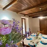 Tra Gli Ulivi E Il Panorama * Orvieto