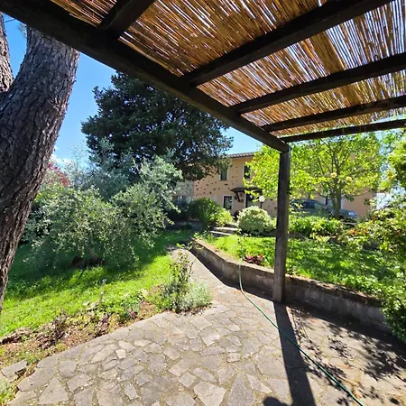 Tra Gli Ulivi E Il Panorama Orvieto