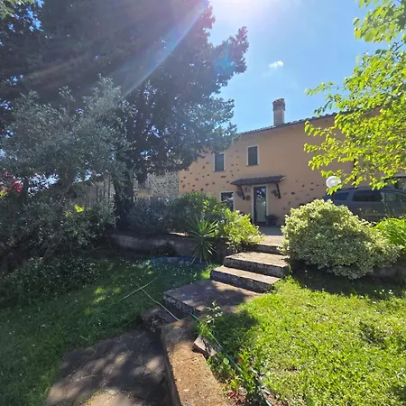 Tra Gli Ulivi E Il Panorama Ορβιέτο