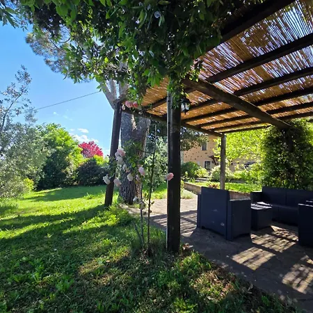 Tra Gli Ulivi E Il Panorama Holiday home Orvieto