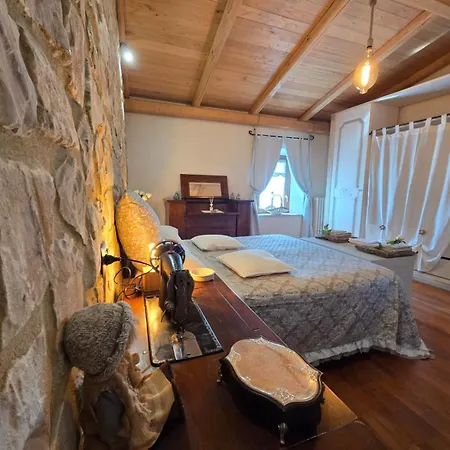 Tra Gli Ulivi E Il Panorama