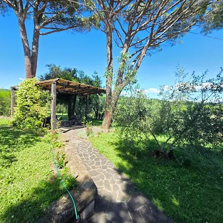 Tra Gli Ulivi E Il Panorama *