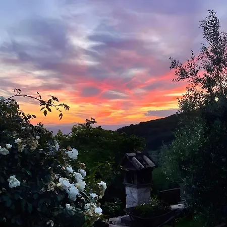 Tra Gli Ulivi E Il Panorama Σπίτι διακοπών *