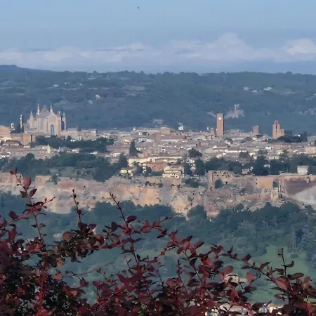 Tra Gli Ulivi E Il Panorama *