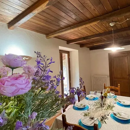 Tra Gli Ulivi E Il Panorama * Ορβιέτο