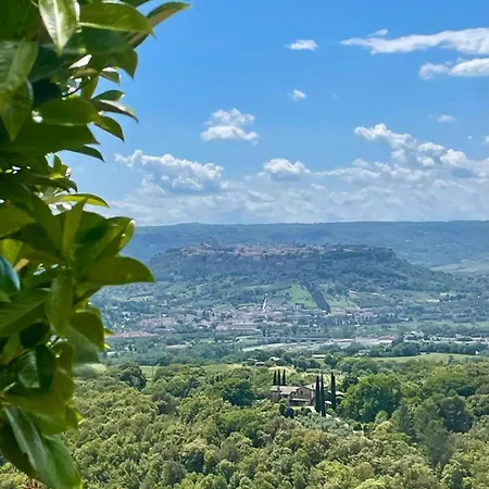 Tra Gli Ulivi E Il Panorama *