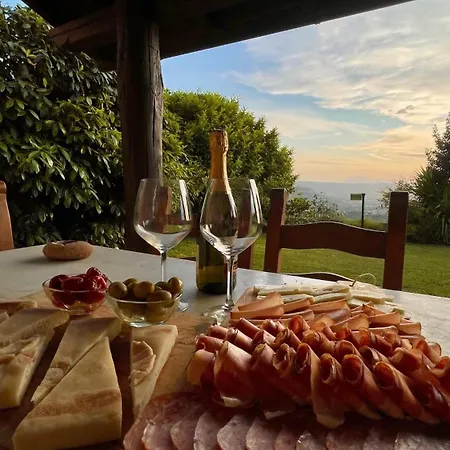 Tra Gli Ulivi E Il Panorama