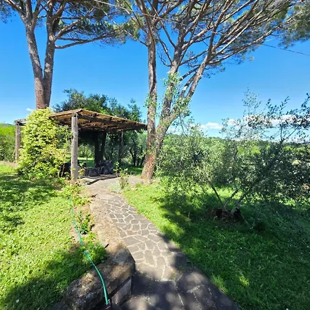 Tra Gli Ulivi E Il Panorama *