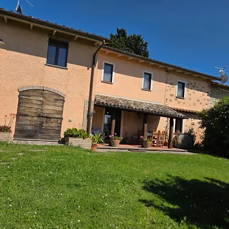 Tra Gli Ulivi E Il Panorama Orvieto