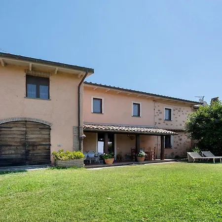 Tra Gli Ulivi E Il Panorama