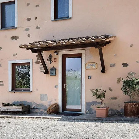 Tra Gli Ulivi E Il Panorama