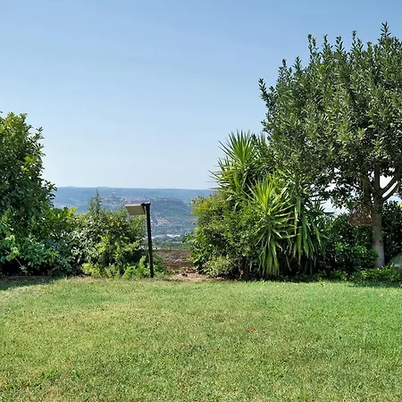 Tra Gli Ulivi E Il Panorama 度假居 奥维多