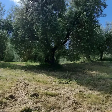 Tra Gli Ulivi E Il Panorama 度假居
