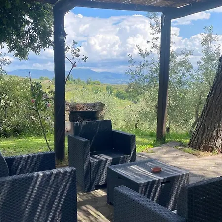 Tra Gli Ulivi E Il Panorama 奥维多