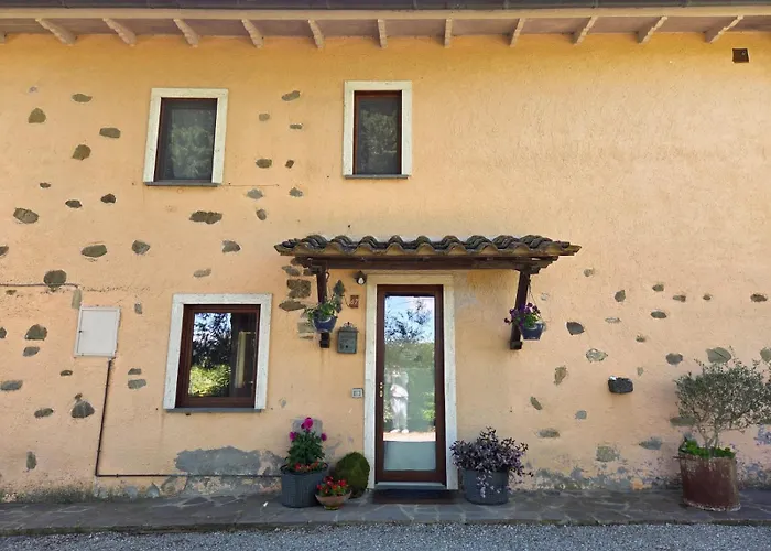 Tra Gli Ulivi E Il Panorama オルヴィエート