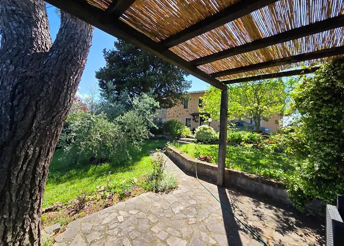 Tra Gli Ulivi E Il Panorama オルヴィエート