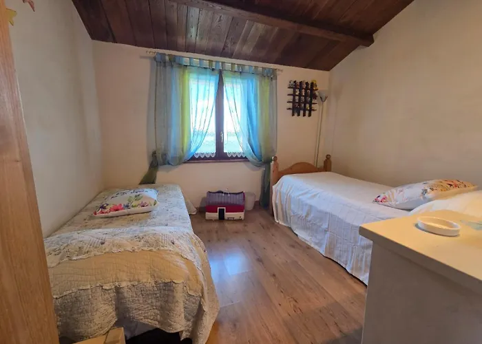 Tra Gli Ulivi E Il Panorama オルヴィエート