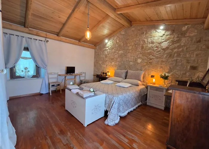 Tra Gli Ulivi E Il Panorama *