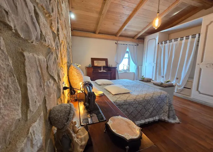 Tra Gli Ulivi E Il Panorama