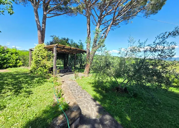 Tra Gli Ulivi E Il Panorama *