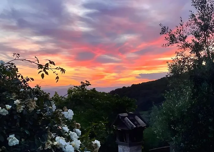 Tra Gli Ulivi E Il Panorama 別荘 *