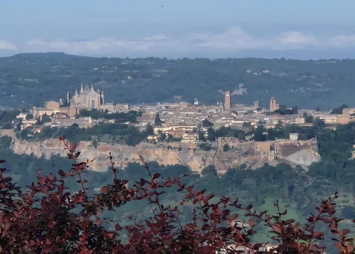 Tra Gli Ulivi E Il Panorama *