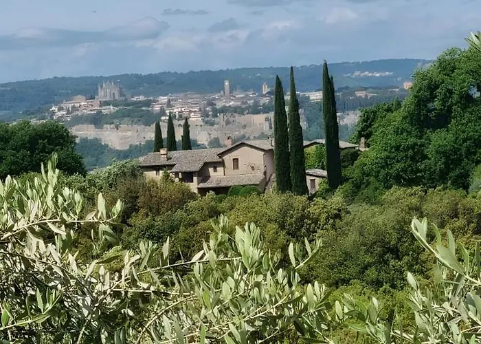 Tra Gli Ulivi E Il Panorama