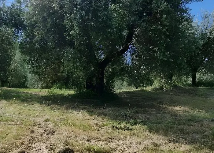 別荘 Tra Gli Ulivi E Il Panorama