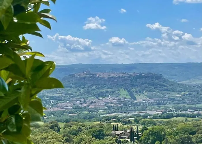 Tra Gli Ulivi E Il Panorama *