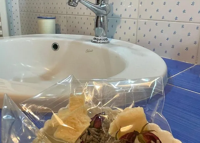 Tra Gli Ulivi E Il Panorama